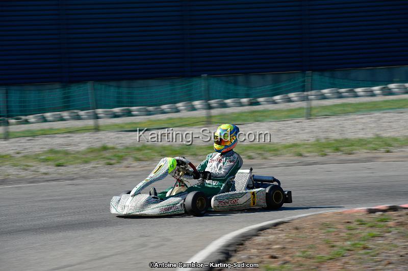 _DSC8882_DxO.jpg