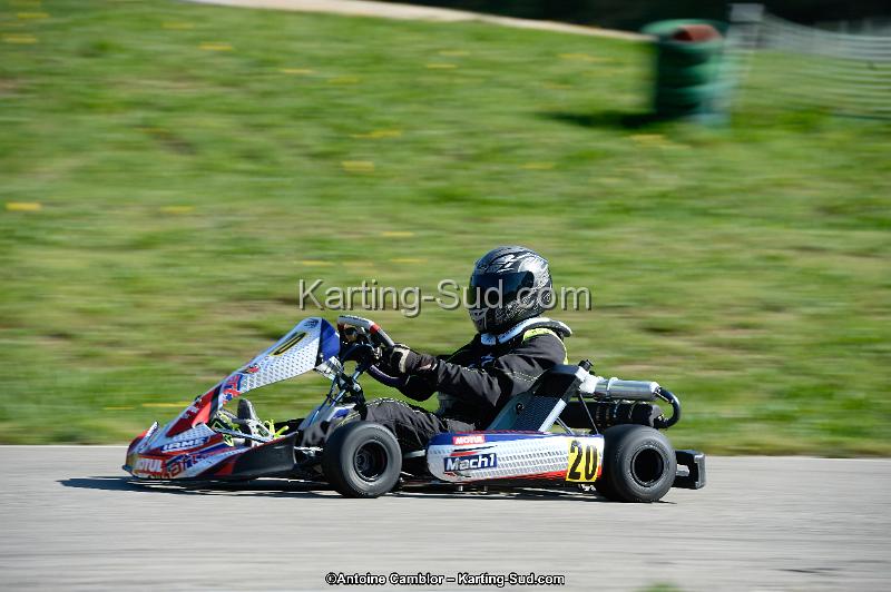 _DSC8905_DxO.jpg