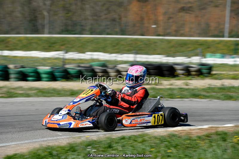 _DSC9034_DxO.jpg