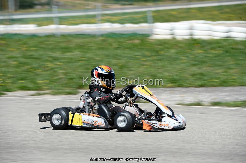 _DSC9464_DxO.jpg