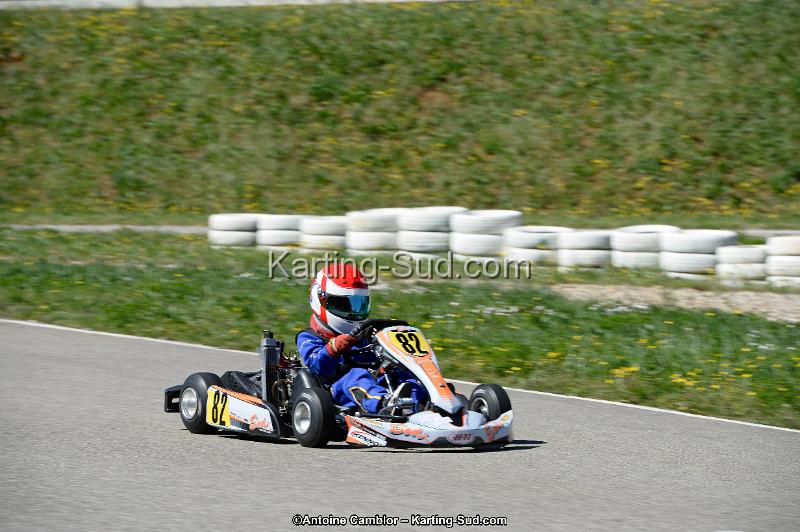 _DSC9515_DxO.jpg