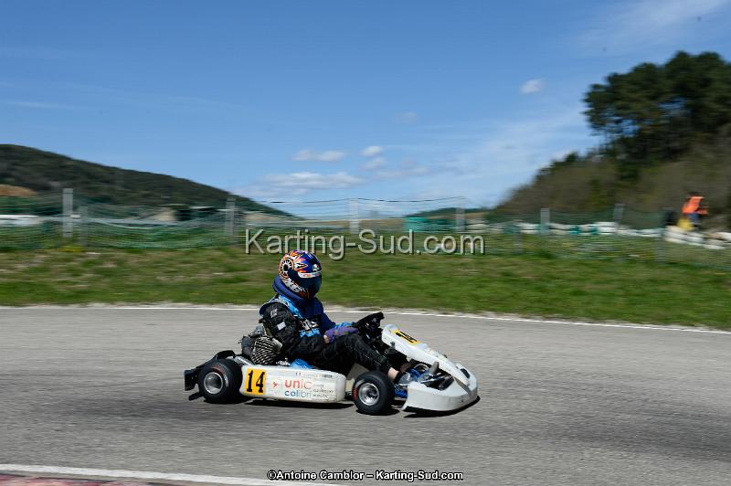 _DSC9772_DxO.jpg
