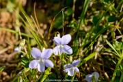 _DSC0522_DxO