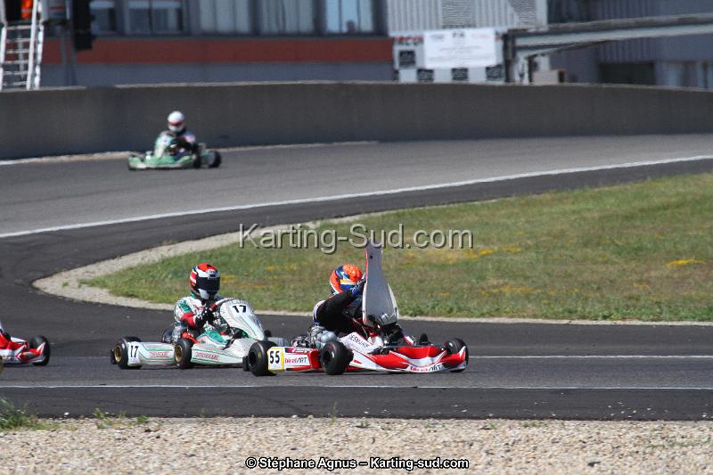 IMG_8437.JPG