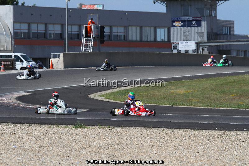 IMG_8446.JPG