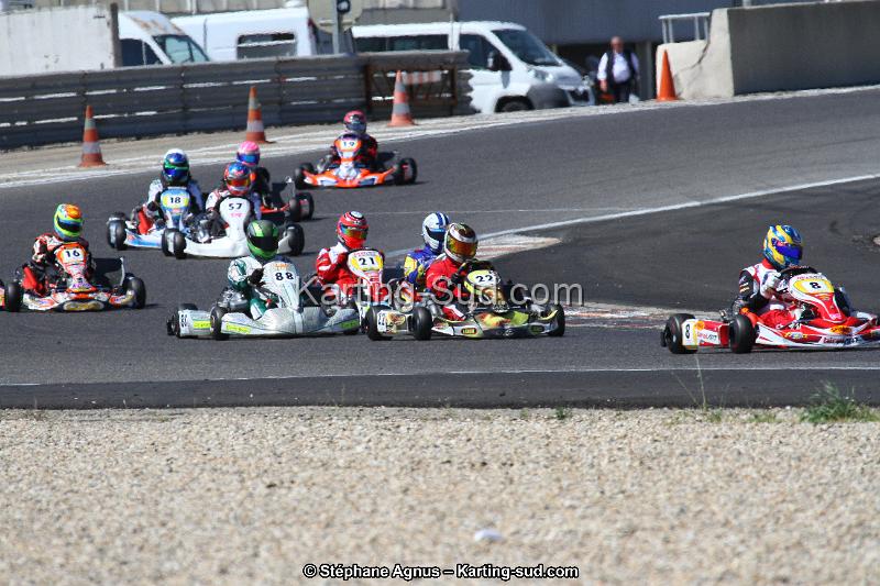 IMG_8462.JPG