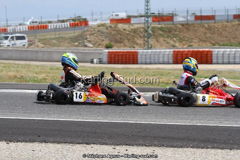IMG_9886.JPG