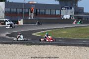 IMG_8446