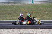 IMG_8464
