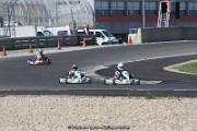IMG_8485