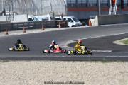 IMG_8489