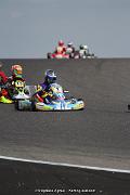 IMG_9541