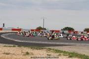 IMG_9769