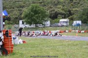 IMG_3123