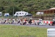 IMG_3126