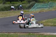 IMG_3245
