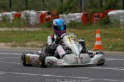 IMG_3290