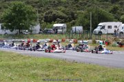 IMG_3595