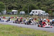 IMG_3597