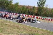 IMG_5918