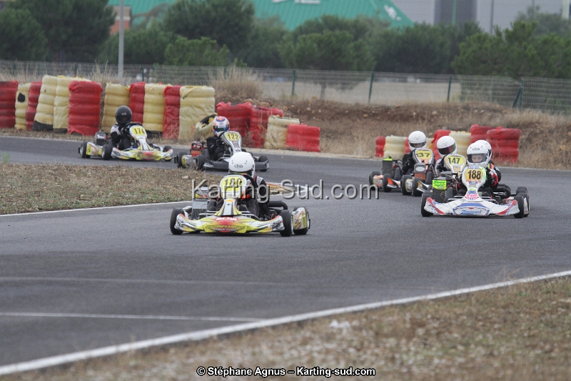 IMG_8767.JPG