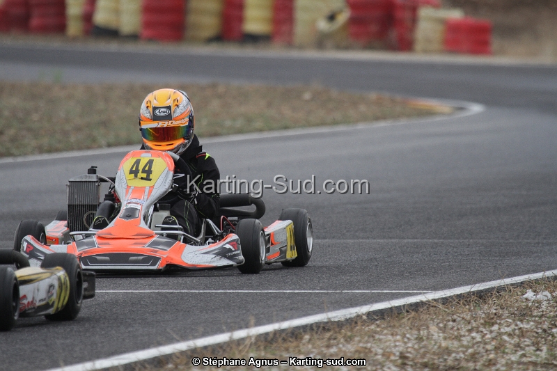 IMG_8773.JPG