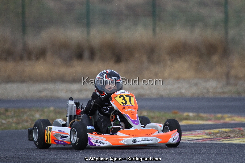 IMG_8987.JPG