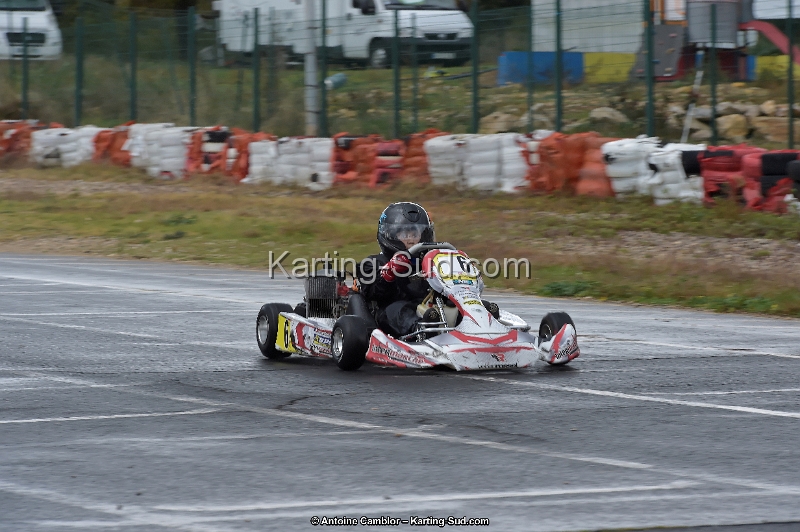 _D4S5537_DxO.jpg