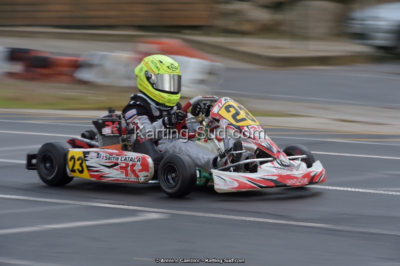_D4S5554_DxO.jpg
