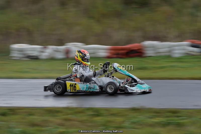 _D4S5596_DxO.jpg