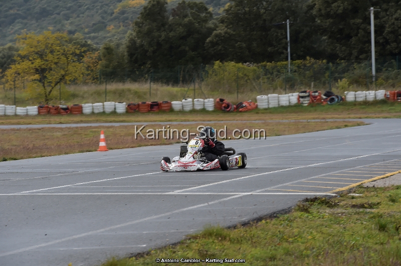 _D4S5617_DxO.jpg