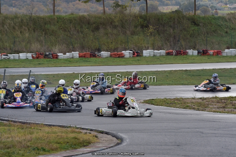 _D4S5648_DxO.jpg