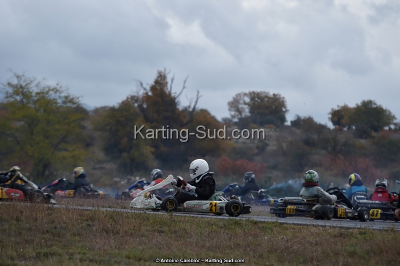 _D4S6335_DxO.jpg