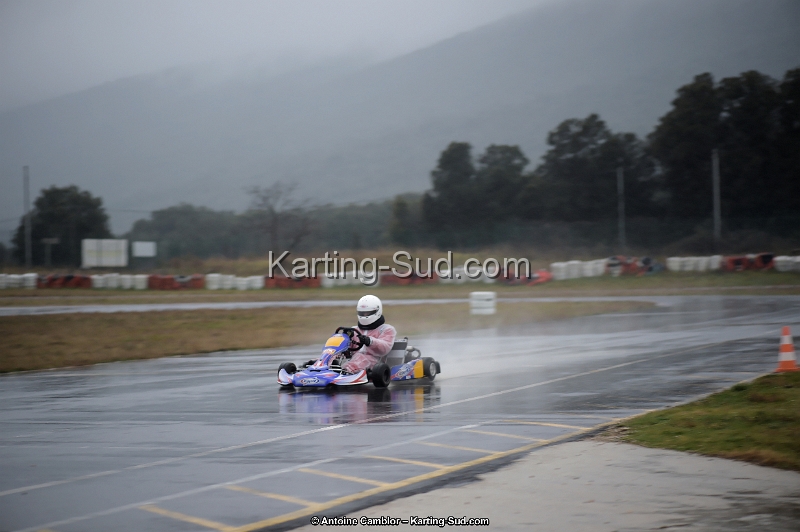 _D4S3300_DxO.jpg