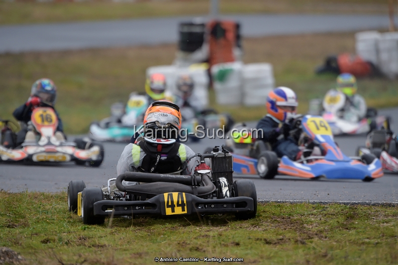 _D4S3729_DxO.jpg