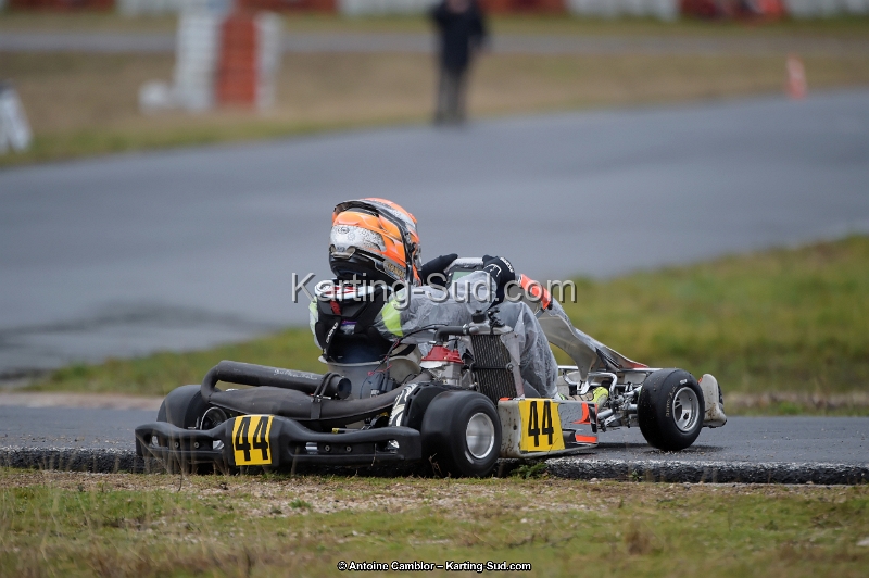 _D4S3735_DxO.jpg