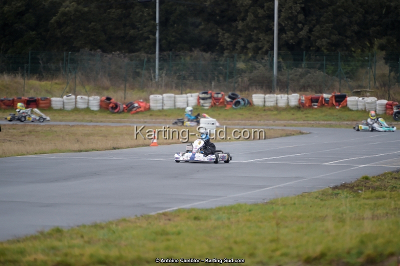 _D4S3736_DxO.jpg
