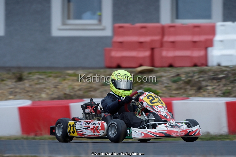 _D4S3747_DxO.jpg