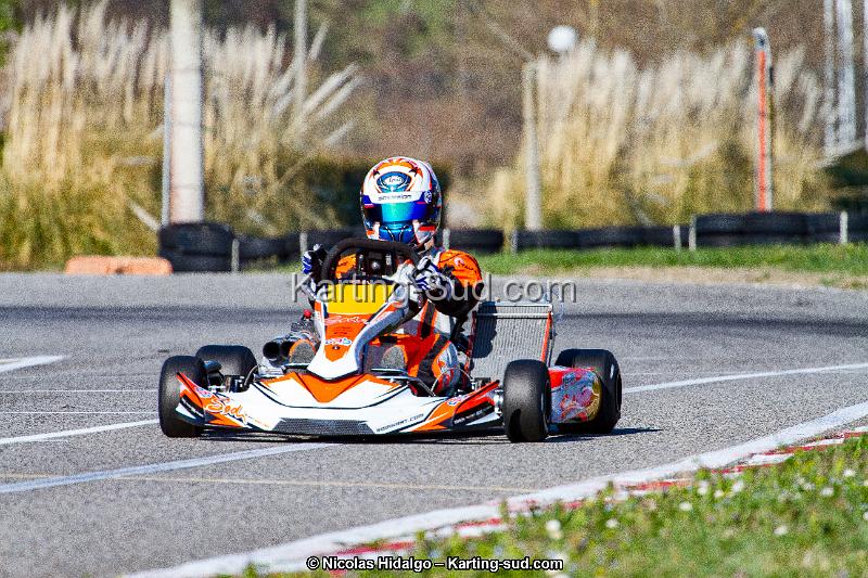 IMG_9511.jpg
