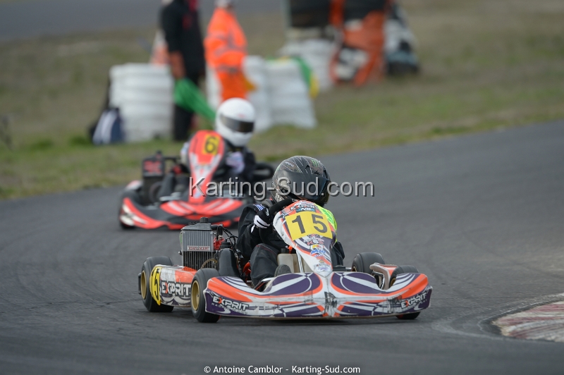 DSC_2300_DxO.jpg