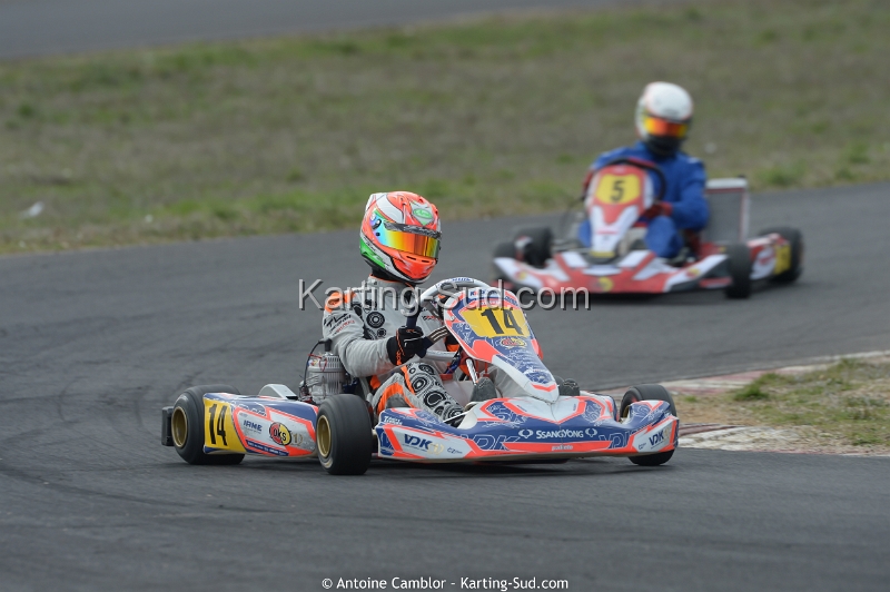DSC_2536_DxO.jpg