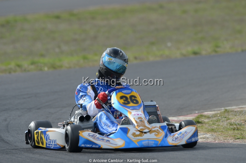 DSC_2768_DxO.jpg