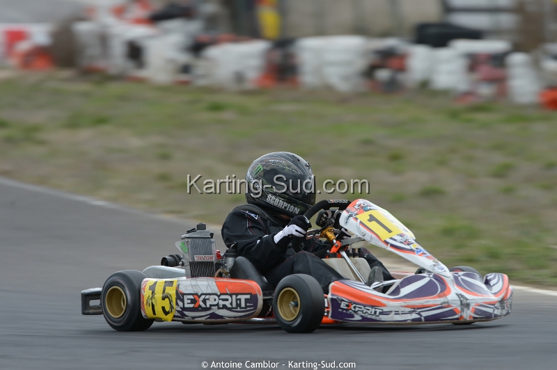 DSC_3101_DxO.jpg