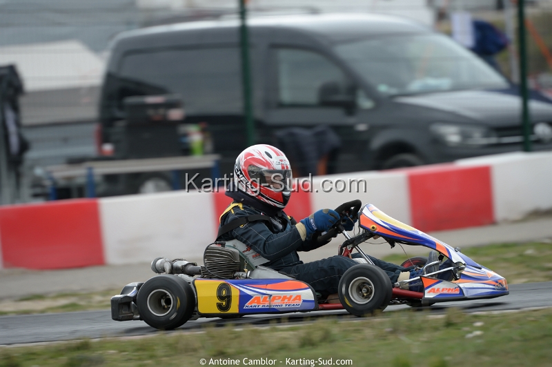 DSC_3323_DxO.jpg