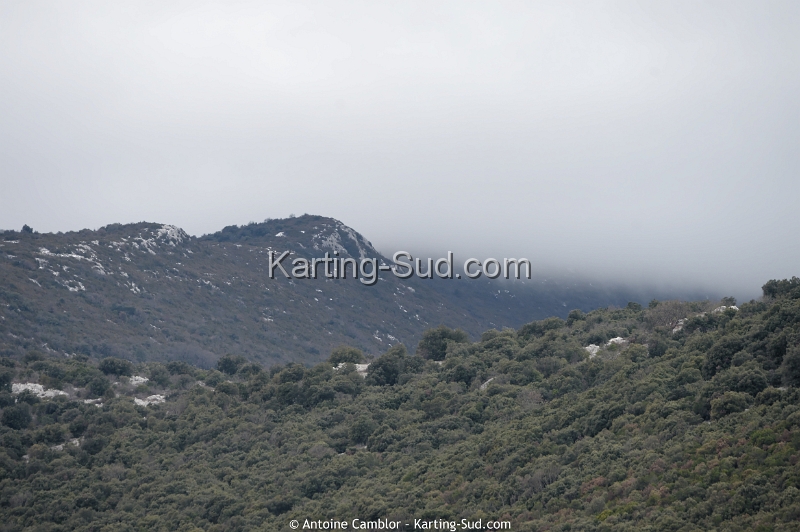 DSC_3600_DxO.jpg