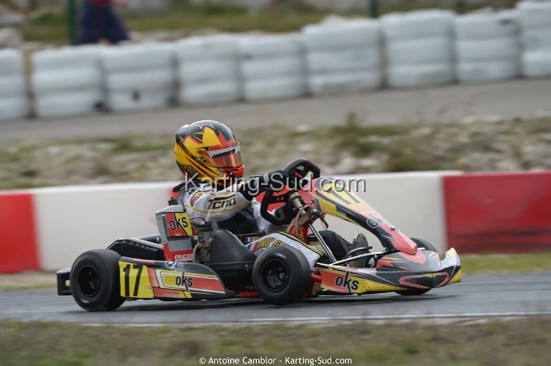 DSC_3797_DxO.jpg