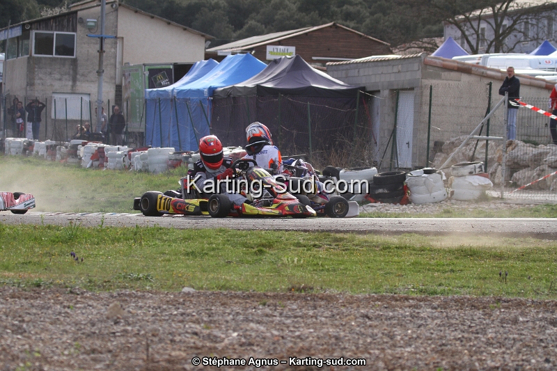 IMG_6348.jpg