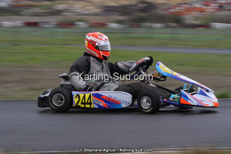 IMG_7037.jpg
