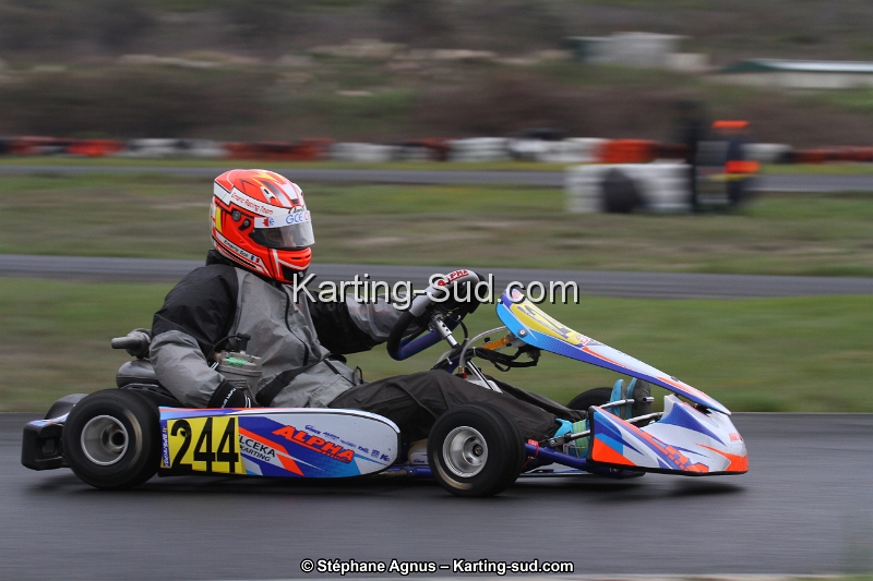 IMG_7039.jpg