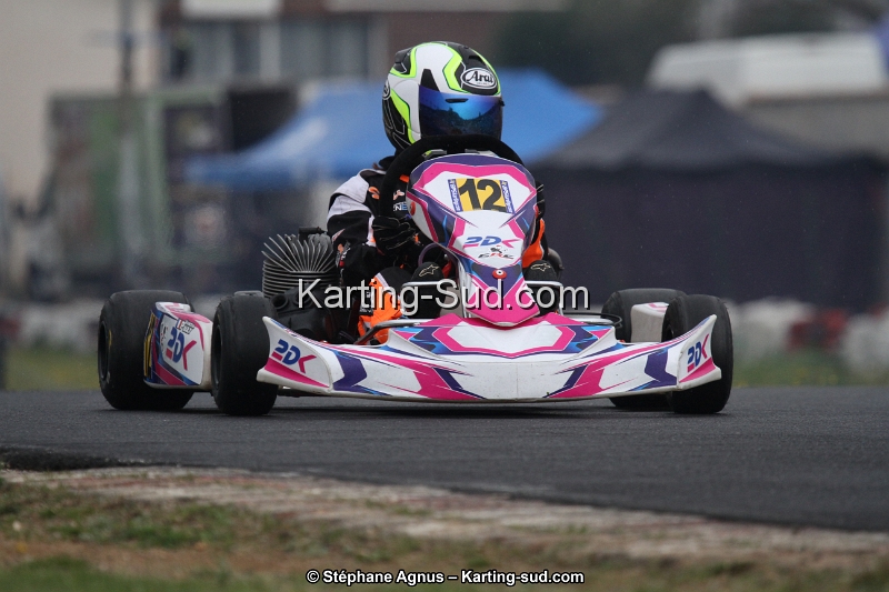 IMG_7337.jpg